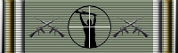 Combat Specialist