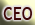 C.E.O.